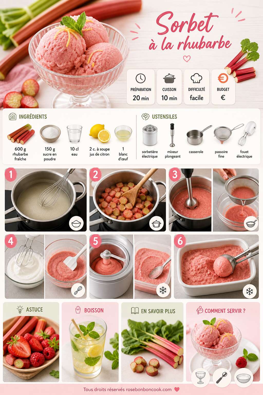Fiche recette Recette de sorbet à la rhubarbe maison Fiche recette Recette de sorbet à la rhubarbe maison